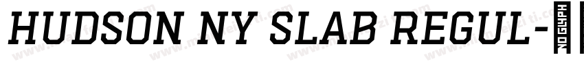 Hudson NY Slab Regul字体转换